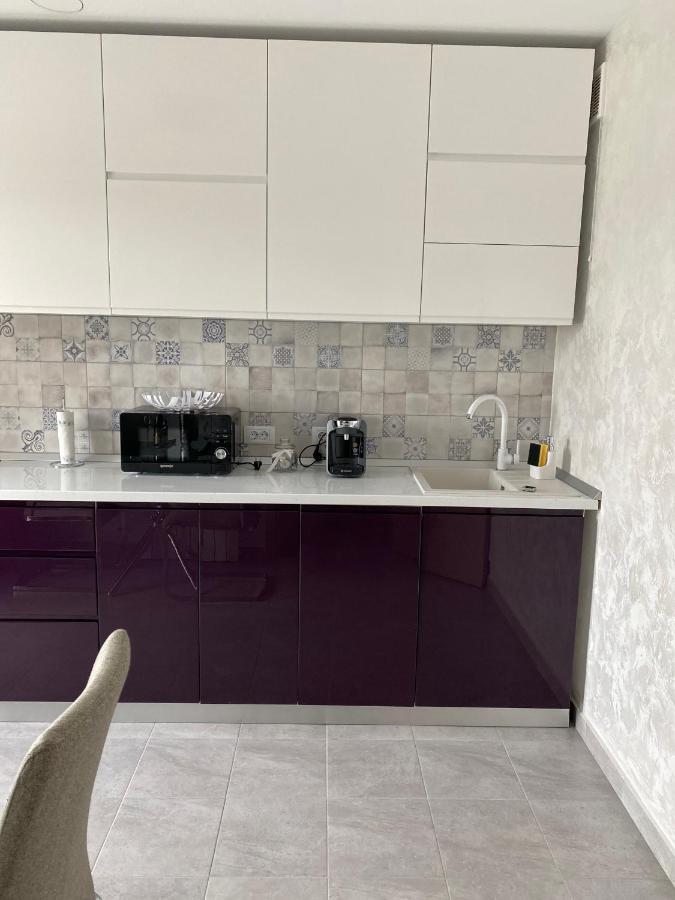 Dina Lux Iasi Apartment المظهر الخارجي الصورة